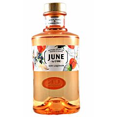 June Wild Peach & Summer Fruit Gin